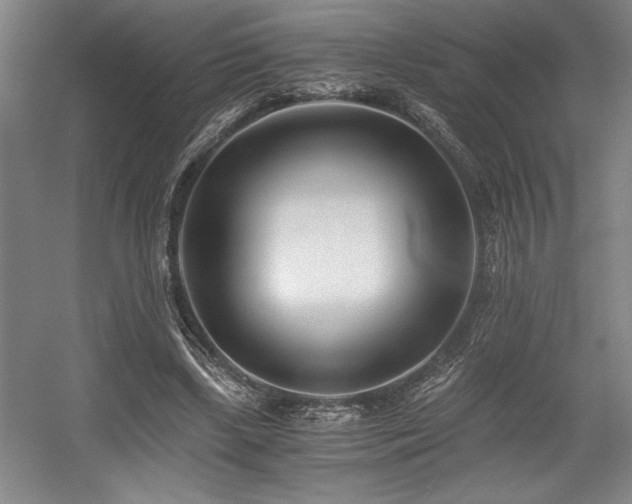 X0000056020443200508191332