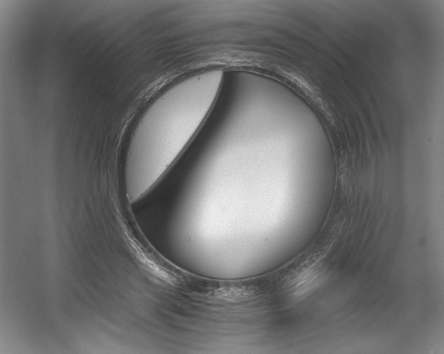 X0000056020445200508191332