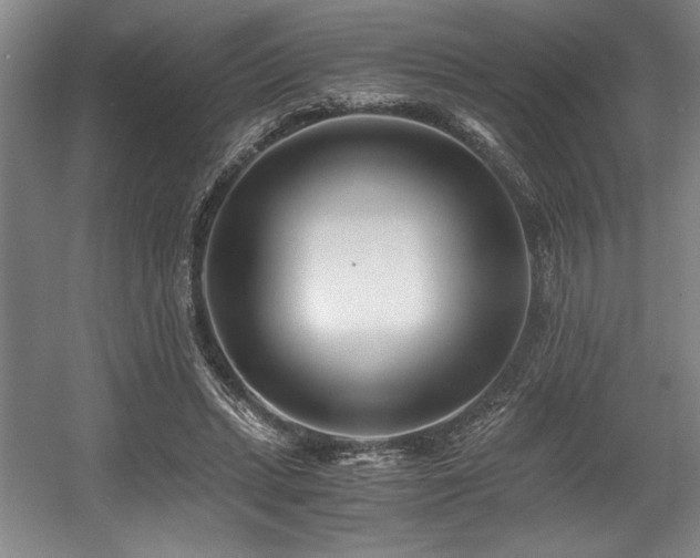 X0000056020447200508191332