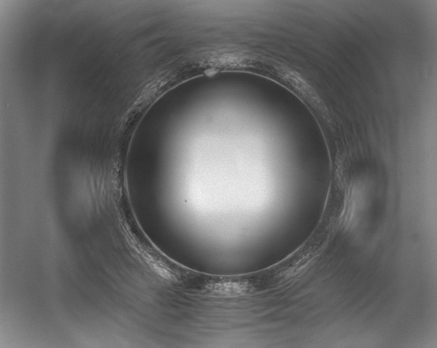 X0000056020449200508191332