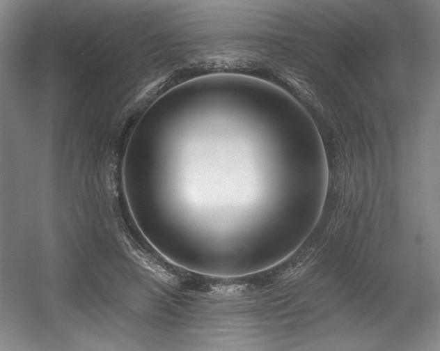 X0000056020450200508191332