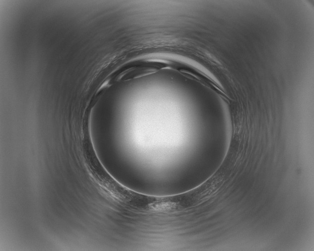 X0000056020452200508191332