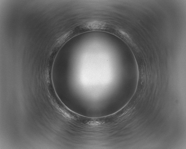 X0000056020453200508191332
