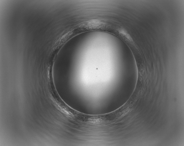 X0000056020454200508191332