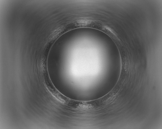 X0000056020455200508191332