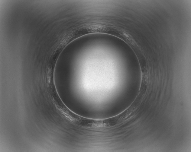 X0000056020458200508191332