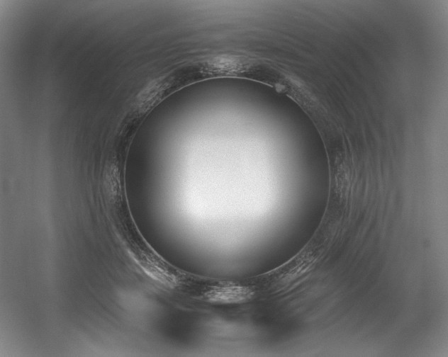 X0000056020459200508191332