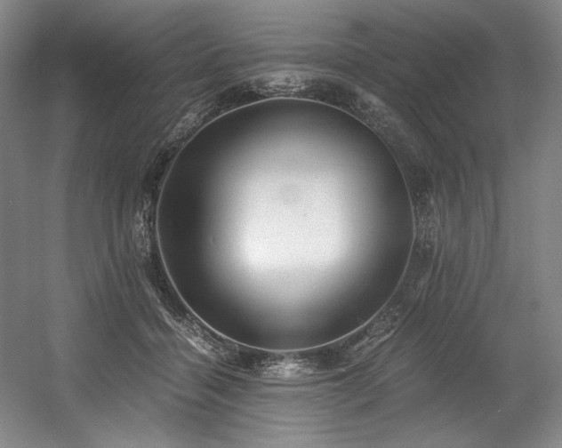 X0000056020460200508191332
