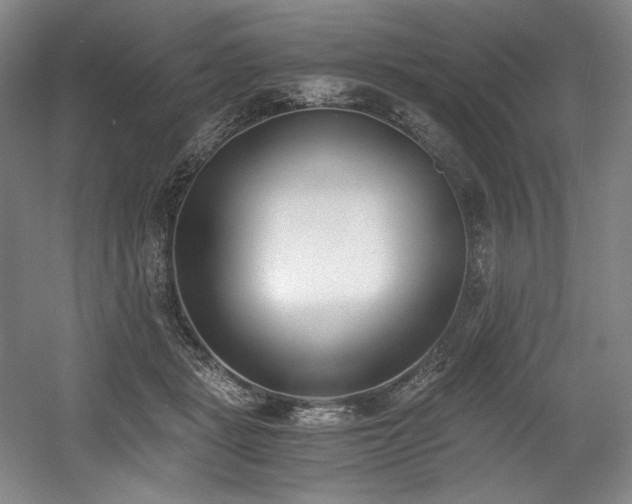X0000056020461200508191332