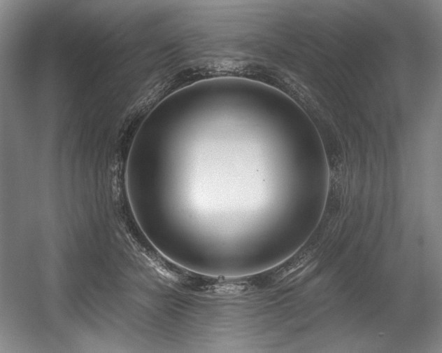 X0000056020462200508191332