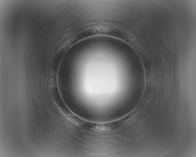 X0000056020464200508191332