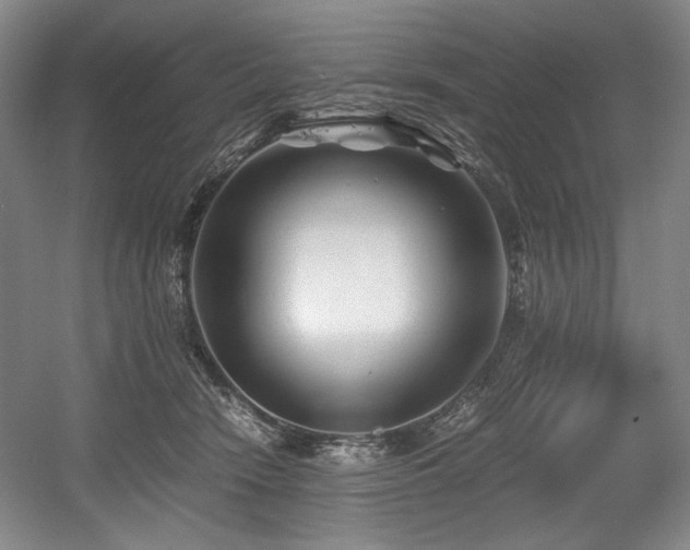 X0000056020466200508191332