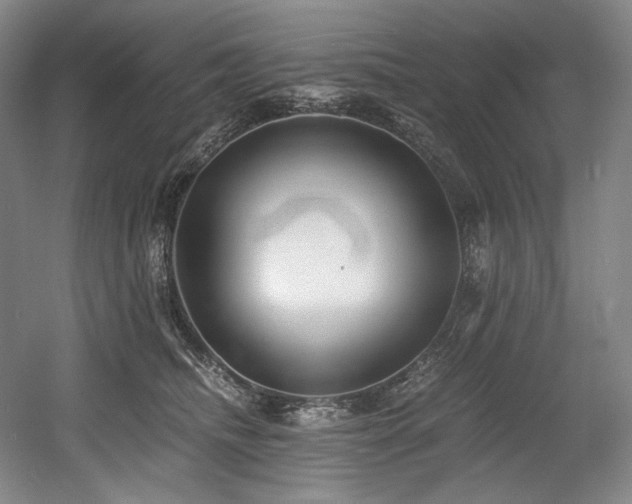 X0000056020468200508191332