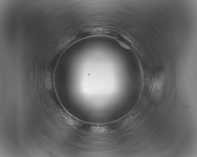 X0000056020469200508191332