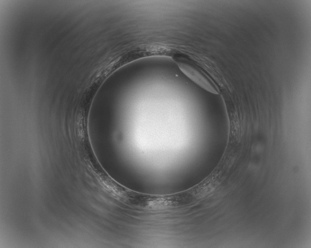 X0000056020470200508191332