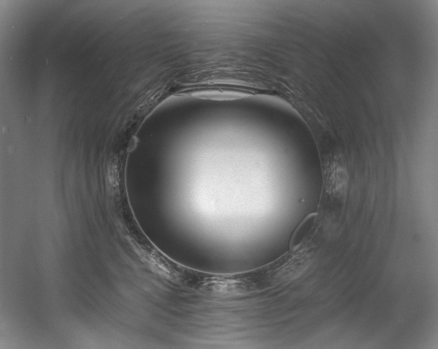 X0000056020472200508191332