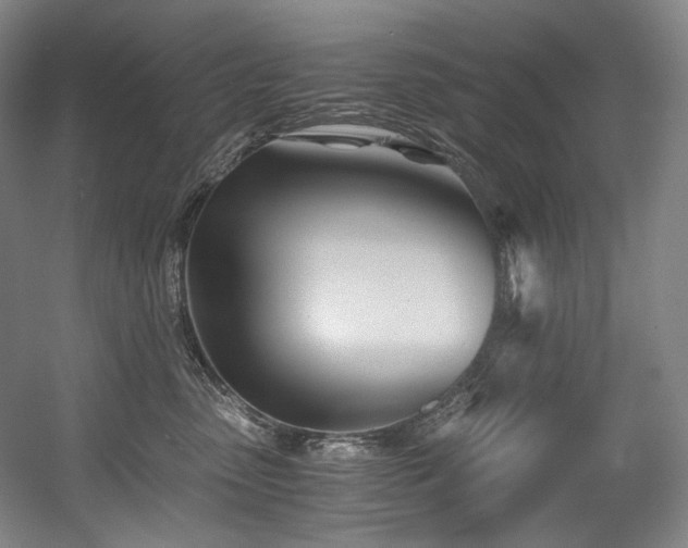 X0000056020475200508191332