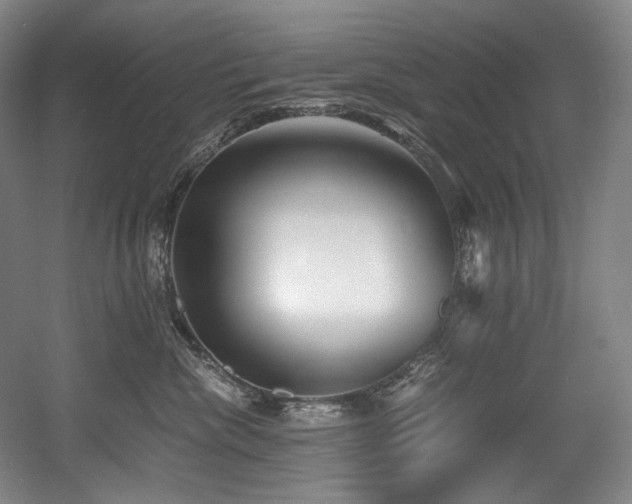 X0000056020476200508191332
