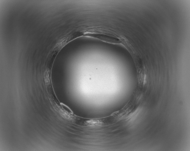 X0000056020477200508191332