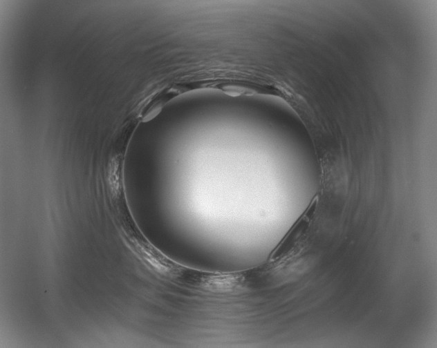 X0000056020479200508191332