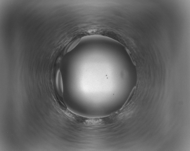 X0000056020480200508191332