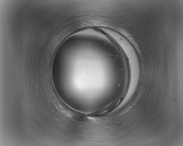 X0000056020481200508191331
