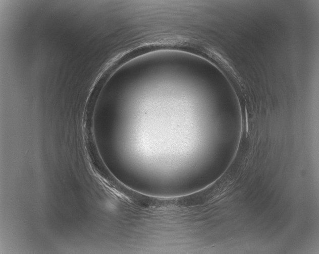 X0000056020483200508191331