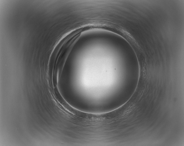X0000056020484200508191331