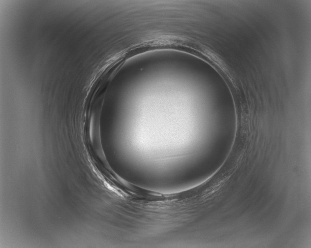X0000056020485200508191331