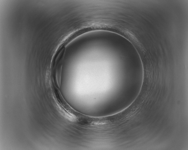 X0000056020488200508191331