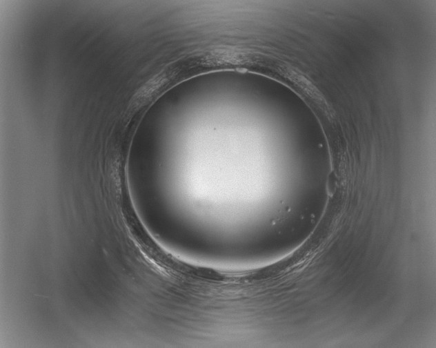 X0000056020489200508191331