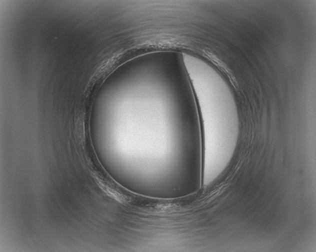 X0000056020493200508191331