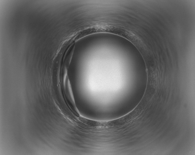 X0000056020496200508191331