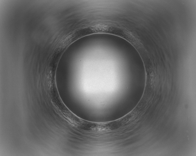 X0000056020498200508191331