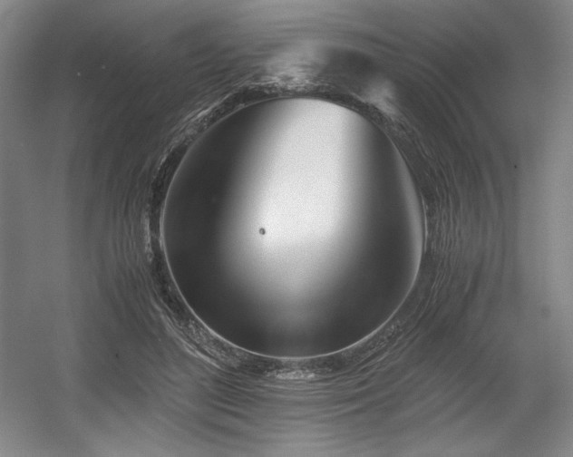 X0000056020500200508191331