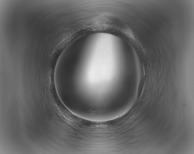 X0000056020501200508191331