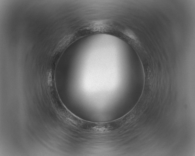 X0000056020502200508191331