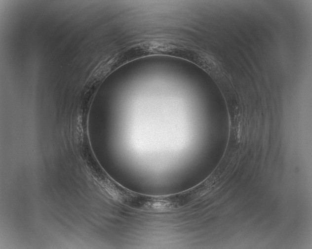 X0000056020506200508191331