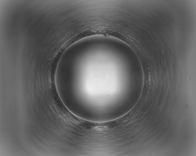 X0000056020508200508191331