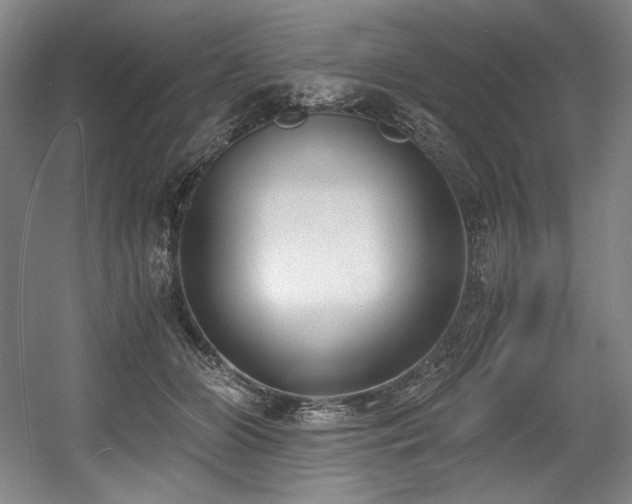 X0000056020510200508191331