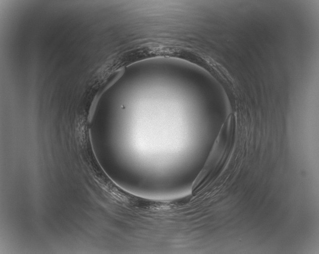 X0000056020513200508191331