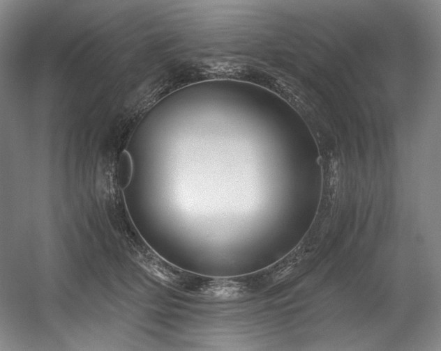 X0000056020514200508191331