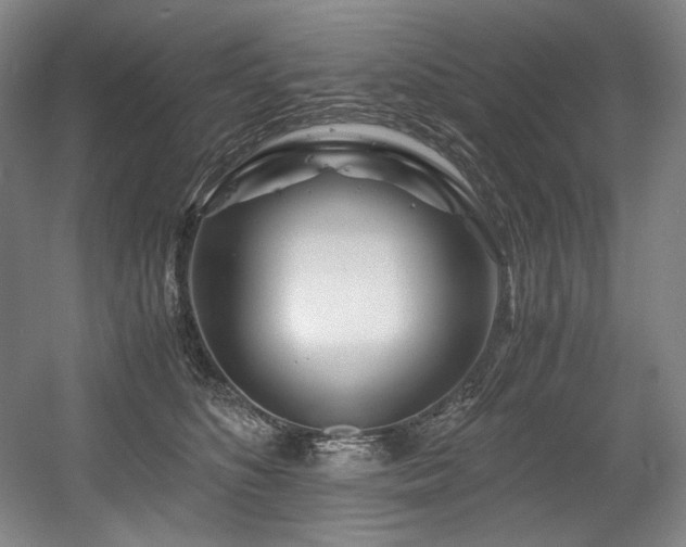 X0000056020516200508191331