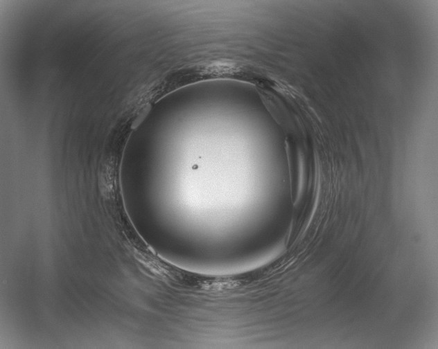 X0000056020517200508191331