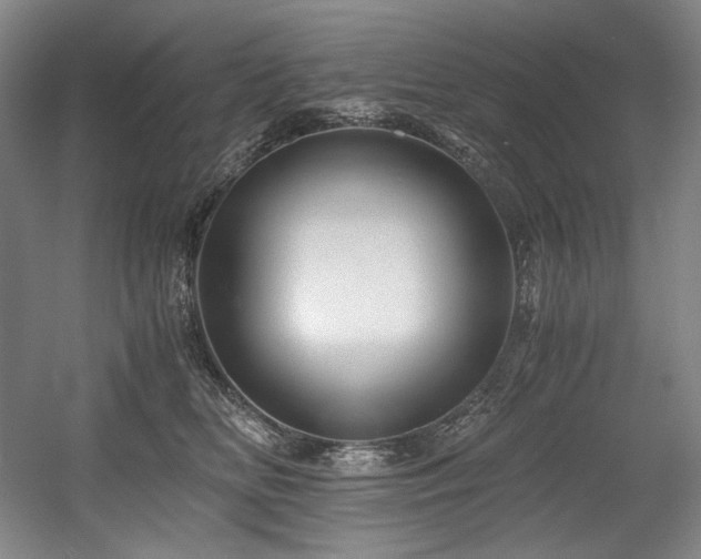 X0000056020518200508191331