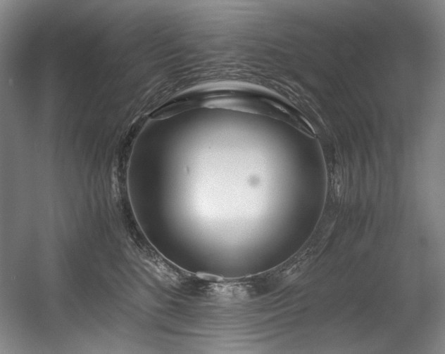 X0000056020520200508191331