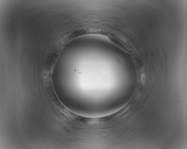 X0000056020521200508191331