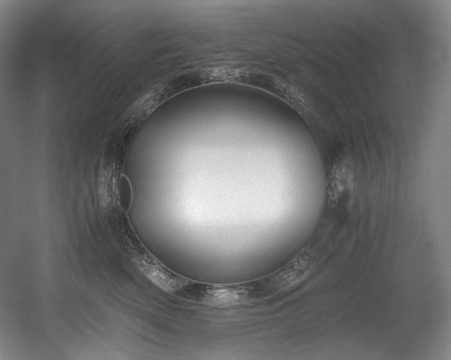 X0000056020522200508191331