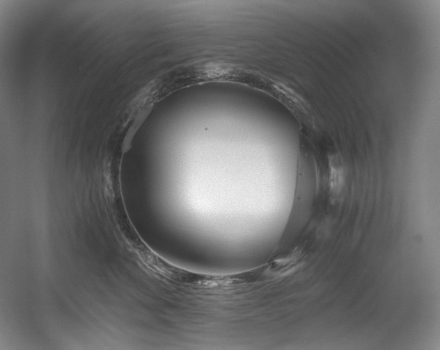 X0000056020524200508191331