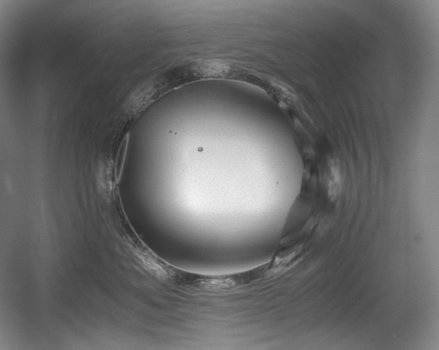 X0000056020525200508191331